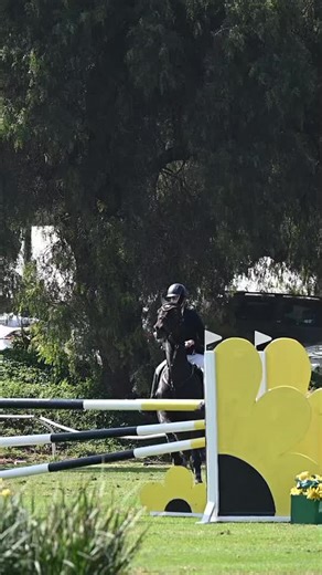 Flying ❤️‍🔥#fyp