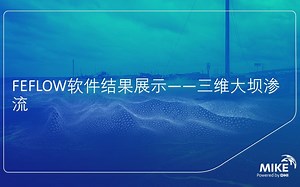 FEFLOW软件结果展示-三维大坝渗流