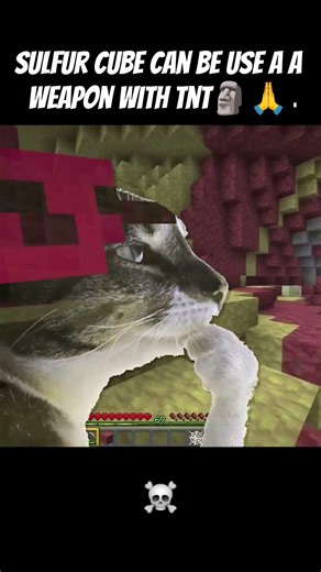 #minecraft #minecraftmemes #minecraftfunny #minecraftbuilds