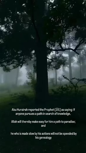 Light of Hadith | ‎From Muhammadan Way app. Links are provided below حدثنا احمد بن يونس، حدثنا زايدة، عن الاعمش، عن ابي صالح، عن ابي هريرة، قال قال رسول الله...‎ | Instagram