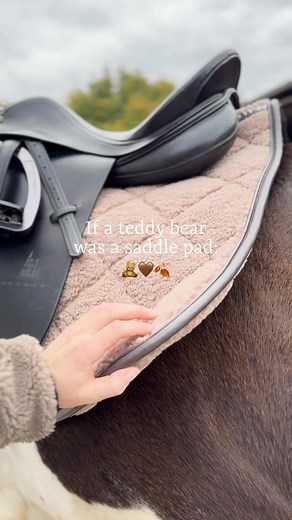 Teddyschbracke Lisa von HV Polo😍🧸 | Fundis Reitsport