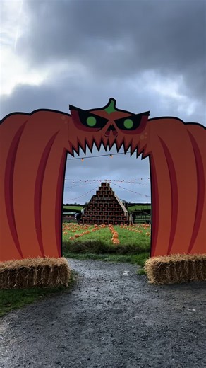 Nearly time for the Pumpkin Patch 👀 #halloween #spookyseason #pumpkinpatch #pumpkin #streamvalefarm