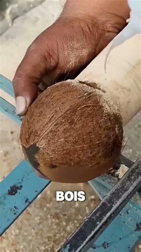 He transforms a coconut into an instrument… incredible