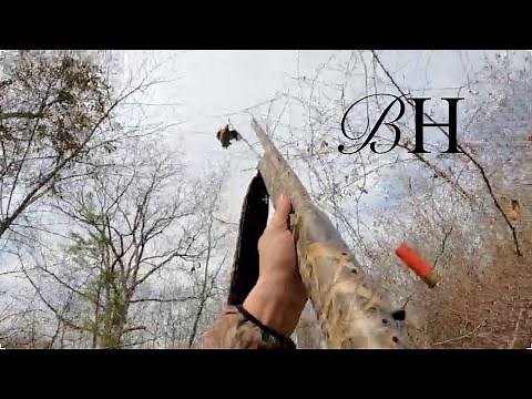 Quail Hunting in NC (INSANE SHOTS!)