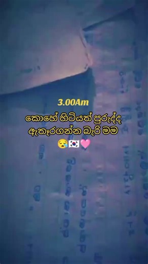 ඔබෙන් මා නිවෙමී🇰🇷🩷🥺#hashtags #viralvideo #southkorea🇰🇷 #viralvideo