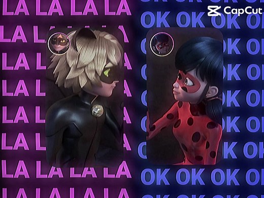 catnoirsforever on TikTok