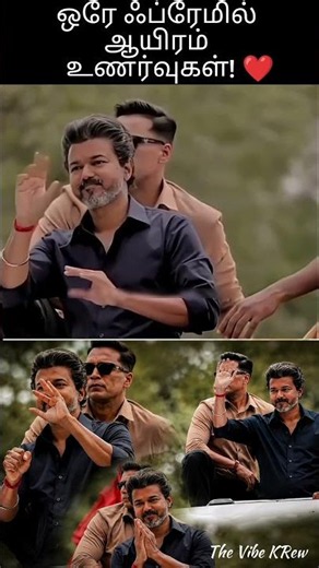 ஒரே ஃப்ரேமில் ஆயிரம் உணர்வுகள்! ❤️ மக்களை வாழ்த்தும் தளபதி விஜயின் மாஸ் தருணங்கள்! 🔥