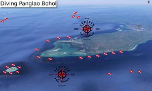 Diving Bohol Panglao