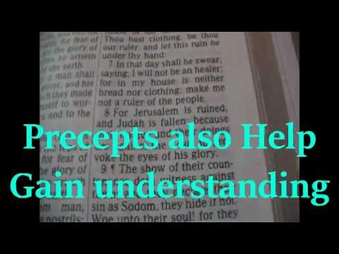What is a Precept ? (How The Bible Should Be Read)