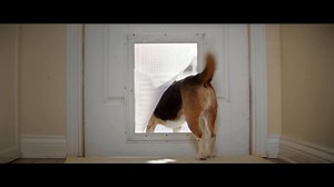 How do you know your dog’s happy? By his wag! Fuel the Wag with Nature’s Recipe! https://www.naturesrecipe.com/where-buy | Nature's Recipe