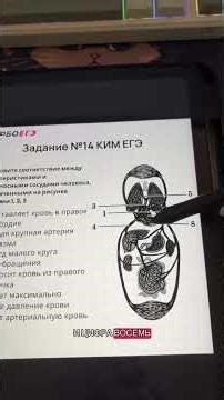 Can you answer correctly? This is a picture that often shows how people fail task #14 of the Unif...