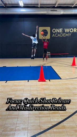 @tdrskillset on Instagram: "All guards must have the ability to get their jump shot off quick. 🚨 Especially undersized guards 🚨 Not only is reaction drills like this fun, but they show real time improvements immediately. #paceoverspeed #owabasketball"