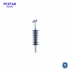 [Hot Item] ANSI Standard Silicone Rubber Composite Insulator Ds-46