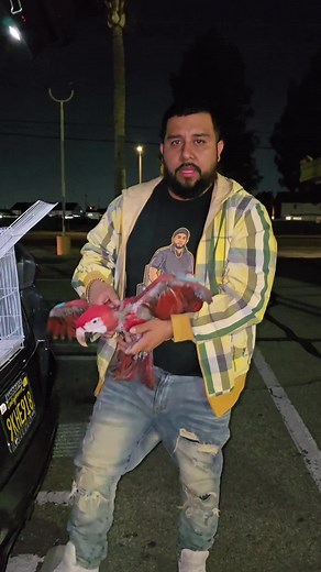 Exoticpets701 on TikTok