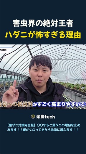 害虫界の絶対王者 ハダニが怖すぎる理由