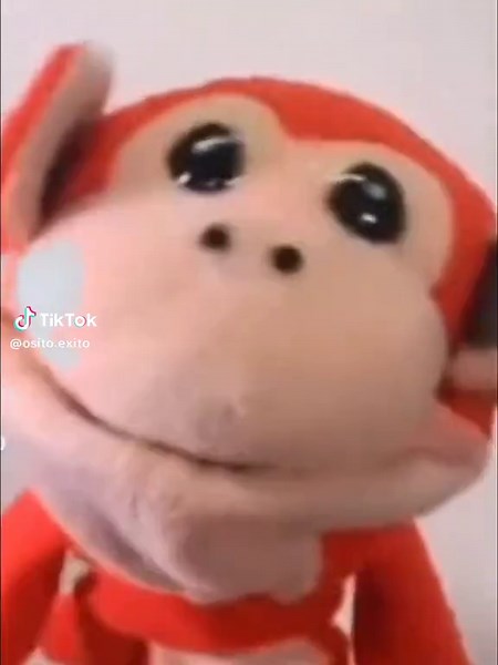 Monos Sílabo: Memes y Videos Divertidos 2024