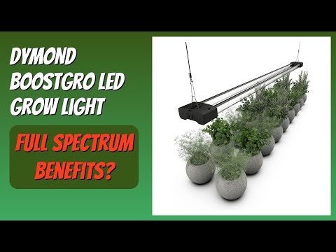 REVIEW (2026): DYMOND BoostGro LED Grow Light. Features