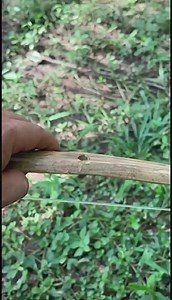 Handmade a simple hand bow # unique and creative (1280p_24fps_H264-192kbit_AAC) #reel #Powerful | Handmade-Slingshot