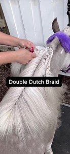 Double Dutch Braid Tutorial for Mini Horse Mane