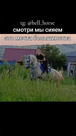 одни из наших первых прыжков✨🧿 ×× tg: @hell_horse #сапфир #horse #лошадки #рек #sapphire #конкур