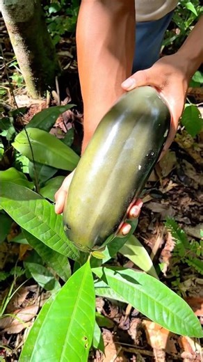 Wow black labu #buahbuahansegar #makanbuah