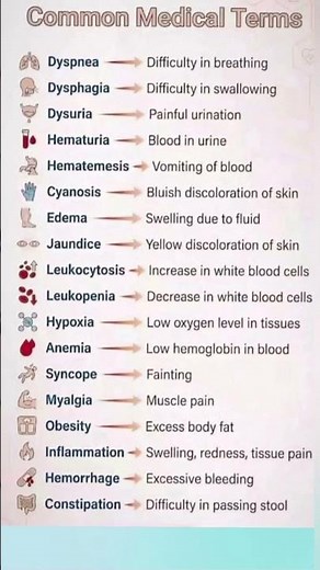 Basic Medical Terminology for Beginners | Medi Queries