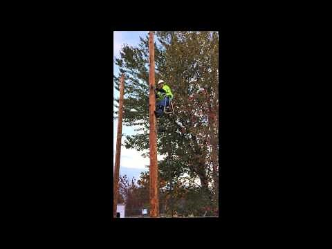 Pole Climbing Fail - What Fear Sounds Like