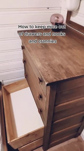 Effective Ways to Keep Mice Away from Your Home
