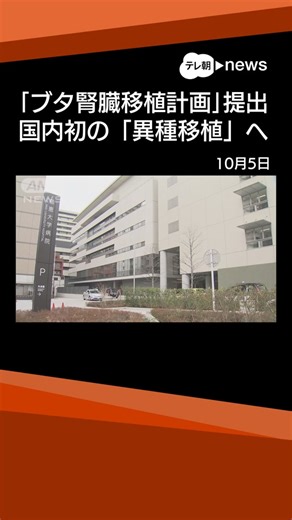 異種移植計画：豚腎臓移植の新展開