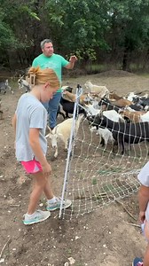 20K views · 665 reactions | Time to move the goats with Premier one fencing!! #family #farmlife #goats #familytime | Eddy Family Farm | Facebook