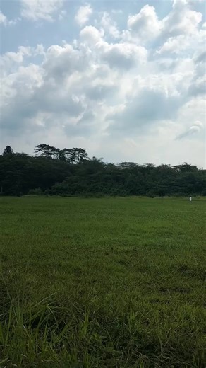 #rcplane #aeromodelling #pesawat #drone #takeofflanding #santai