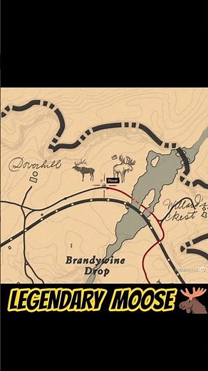 Legendary Moose Location + Hunt Guide🦌 RDR2 (Exact Map Spot!) #rdr2 #legendaryanimals #moose #hunt