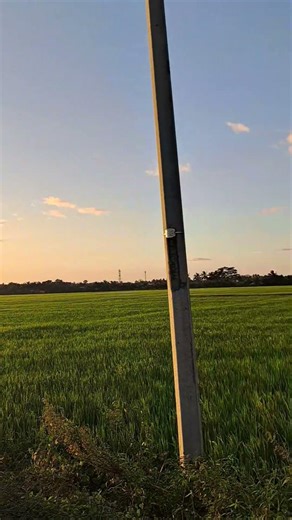 Perfect View #shortvideo #youtubeshorts