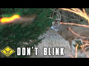 DON'T BLINK | OLD Kansas Buck Charges in FAST!