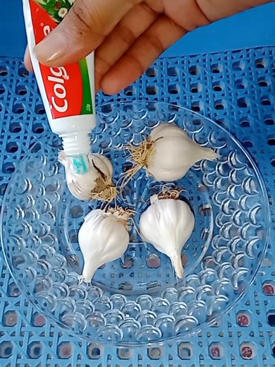 Colgate and Garlic: Effective Home Remedies for Teeth