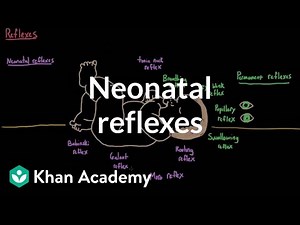 Neonatal reflexes | Behavior | MCAT | Khan Academy