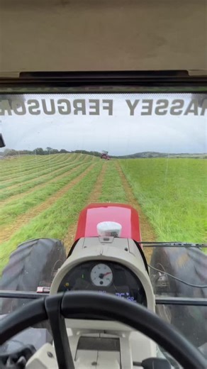 Massey Ferguson Tractor in Action: Grass Cutting