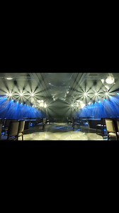 Indoor wedding live light show #djmix #barber #LightsAndSounds #lightscameraaction #stagelightfactory #stagelight #stagelights #stagelightmanufacturer #lightshow #stagelightdesign #lightsaber #lightingdesigner #lightingsolutions #lightingideas #dmx #stagelighting #harleyquinn #diwalivibes #stagelightingdesign #djlife #light #DJ #party #lighroomedit #lighting #lightroom #lightingdesign #lights #lightning #club | Stageprolights