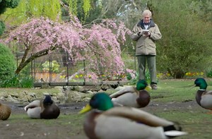 43K views · 786 reactions | Fall Nature Sketch classes are now open...