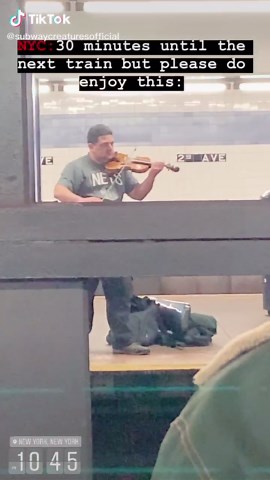 🔥🔥🔥 #subwaycreatures