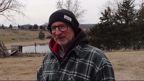 Meyer Beefalo Farm showcases niche herd built for pasture production