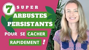 7 super arbustes PERSISTANTS pour se cacher rapidement !