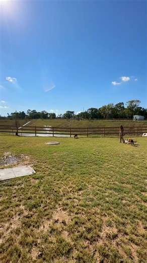 1.9K views · 14 reactions | Headed into a beautiful weekend at Willis...