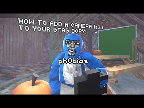 How to add a **WORKING** Camera mod into your gtag copy!
