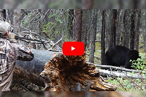 Tim Wells Successfully Harvests a Black Bear Using a Blowgun