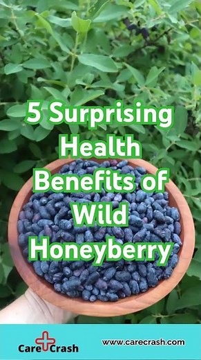 5 Surprising Health Benefits of Wild Honeyberry | #carecrash
