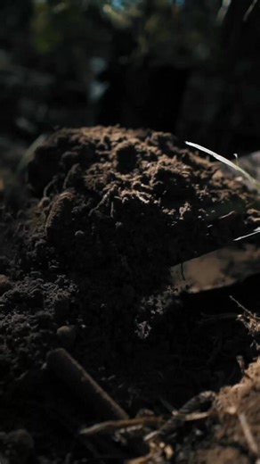 15 reactions | AI… is dead... It’s just a statistical parrot,...