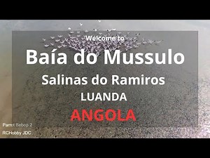 Mussulo Angola Seabirds - Parrot Bebop 2 Footage - Luanda Angola 2018