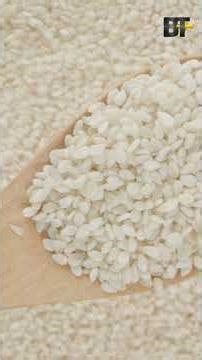 What If Technology Vanished #strangerthanfiction #naturedocumentary #film