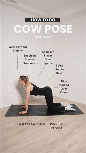 How to do: COW POSE (BITILASANA) #yoga #yogaposes #yogatutorial #backpainrelief #backpainexercises